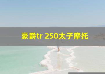 豪爵tr 250太子摩托